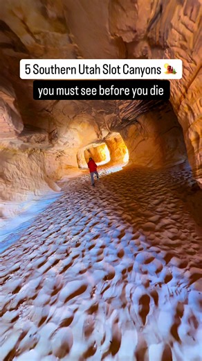 Hi! Thank you so much for the quick reply — we really appreciate it. We’d be happy to create 1–2 reels that incorporate the content we capture while visiting. A couple ideas we had in mind: • “A full day in Zion” — showing a long, active day exploring the park and then ending the day at Zion Hot Springs with hot and cold therapy to recover and relax after the adventure. • “If you only had one day in Zion…” — how we’d spend it, with the perfect way to end the day being a soak at Zion Hot Springs.