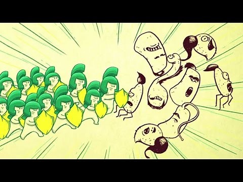NIDO 3+ Lactobacillus PROTECTUS TVC | Nestlé PH