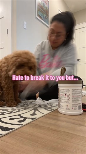 💌SEND THIS to a dog parent! Here are 3 reasons why you should wipe your dogs paws: 💗Prevents Infections: Washing your dog’s paws after each walk helps remove dirt, bacteria, and potential allergens that could cause infections or irritations. This is especially important for dogs who have sensitive skin or allergies. 💗Maintains Cleanliness Indoors: Regularly cleaning your dog’s paws helps prevent them from tracking dirt, mud, and other outdoor debris into your home. This reduces the need for e