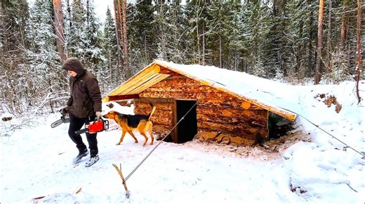70K views · 1.1K reactions | Camping in the snow we went to a log cabin building a comfortable dugout while living in a tent with a wood stove. | Wright | Facebook
