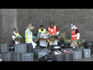 Waste Study I Talking Trash