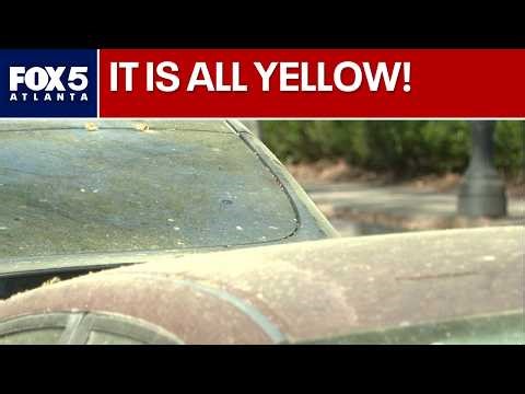 Atlanta's pollen 'pocalypse' is officially here | FOX 5 News