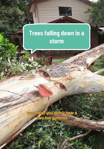 Funny Conversations with Fallen Trees: A Comedy Sketch