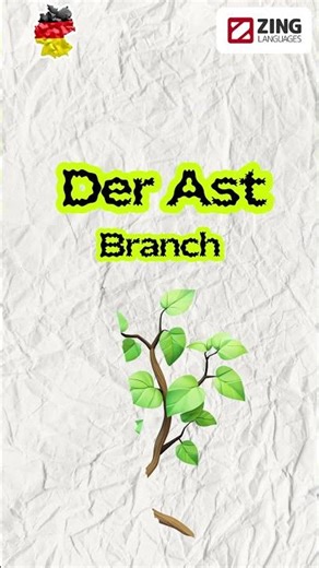 POV: You’re not just learning German, you’re thinking in German 🌱🇩🇪 #zinglanguages