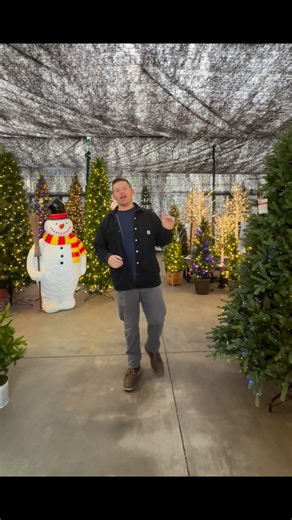 Our Christmas Tree Grove is open for the season! 🎄 Come on out, shop early, and take advantage of our Early Bird Deal! #Christmas #christmastree | Jerry's For All Seasons