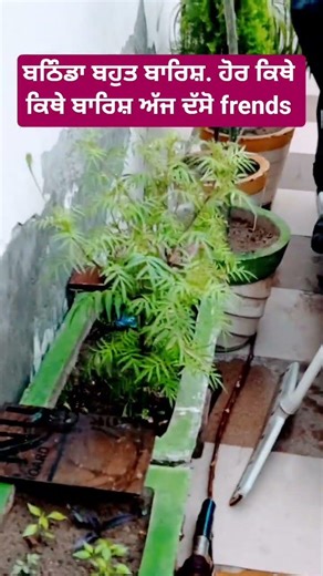 ਬਠਿੰਡਾ ਬਾਰਿਸ਼ ਬਹੁਤ ਹੋਰ ਕਿਥੇ ਕਿਥੇ ਬਾਰਿਸ਼ ਅੱਜ