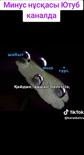 Kazakh Karaoke: Sing Along with Custom Karaoke Tracks