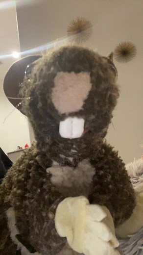 ratattcks (@rat_vs_theworld)’s videos with original sound - David Attenborough