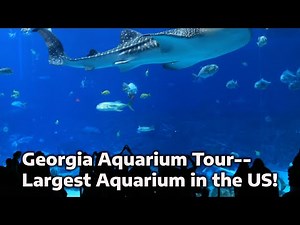 ❗LIVE❗ Largest Aquarium in the US Tour Georgia Aquarium- #atlanta