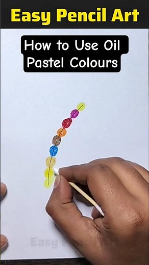 How to Use Oil Pastel Colours 🎨 | Easy Bird Feather & Wing Drawing Step by Step