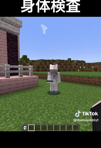 マインクラフトでの採取するアイテム