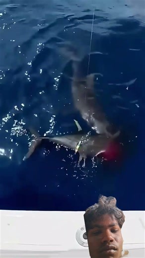 200KG Bull Shark vs Fisherman |!11#ytshorts #deepseafishing#oceanadventure#viralfishing