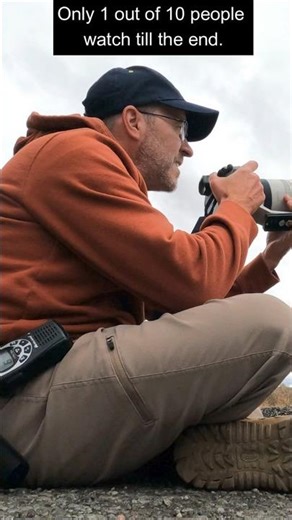 The 1% shot: Yellowstone Coyote up close 🐺