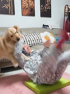 Core Exercise Workout with Puppy Challenges