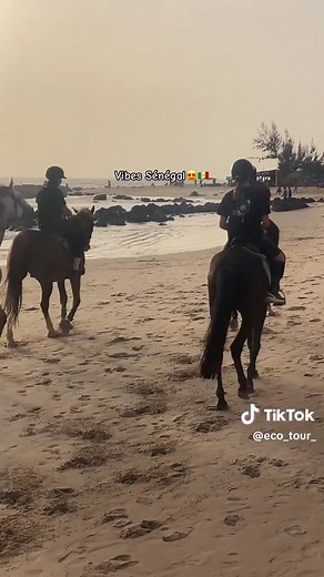 Découverte du Sénégal, terre de la Téranga