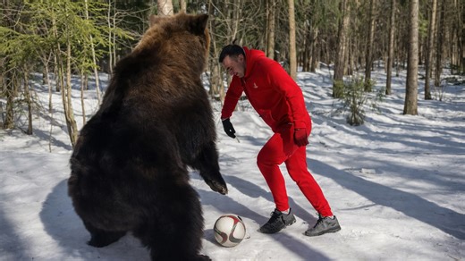 What happens when you play football with a giant bear