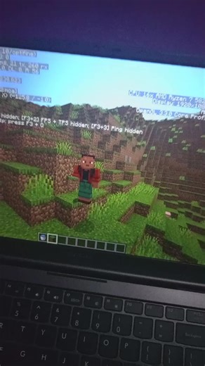 Shader Ringan untuk Minecraft Java