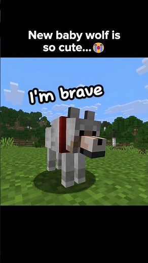 Why it's so adorable 😍