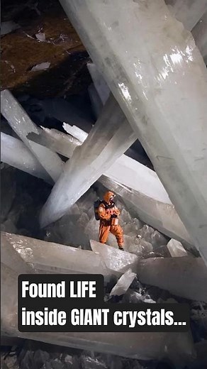 Ancient 'Extremophile' Life Discovered Inside Inhospitable Crystal Cave in Mexico #historicaltidbits