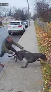 6.6K reactions · 581 shares | Worried about your furry friend's neck...