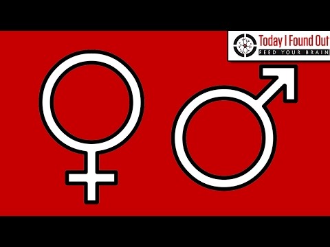Your Guide to Sex & Gender Symbols: Male, Female, & More