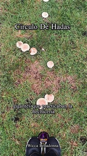 Wicca - Fairy Circle #wicca #whitewitch #beginnerwitch