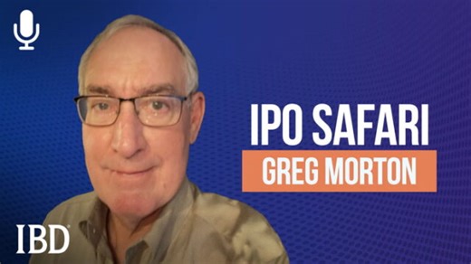 IPO Stocks: How To Track Down The Best Market Debuts To Supercharge Your Portfolio | Investor's Business Daily