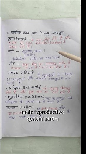Sperm bante kaha hai? #male reproductive system #biology #NCERT #class १२ #shorts