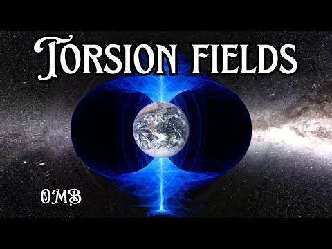 Torsion fields