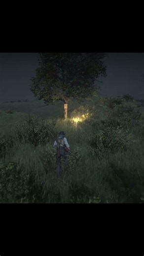 Treasure Maps #01 Secret Treasure Map in a Tree! Exact Night Location Near Emerald Ranch | RDR2