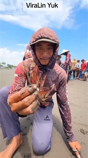 Sengatan Ikan Pari: Gejala dan Pertolongan Pertama