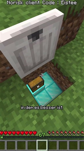 99% Der Spieler kennen diesen Falltür trick nicht #shorts #minecraft