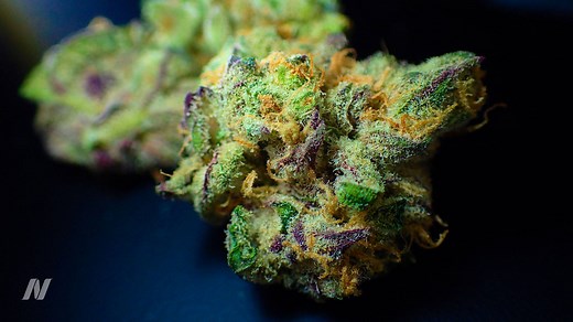 The temporary quintupling of heart attack risk associated with cannabis smoking may be due to the increased heartrate, blood pressure, and carbon monoxide levels. The video sources, transcript, and doctor's notes are available here: https://bit.ly/3kI3SUI | NutritionFacts.org