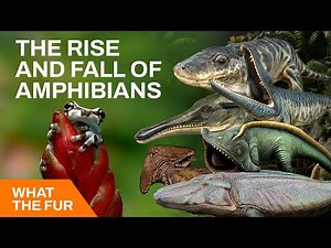 How Amphibians Took Over Earth (and Lost it)