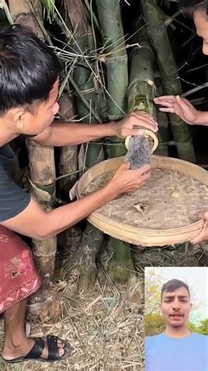 #TIMELAPSE: START to FINISH Alone BUILD LOG Cabin (Wooden House), How To Build Wooden Cabin, Surviva