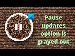 Pause updates option is grayed out in Windows 11