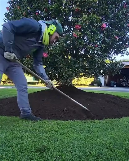 83K views · 319 reactions | Edging the trees for that perfect look! | MetDaan DIY | Facebook