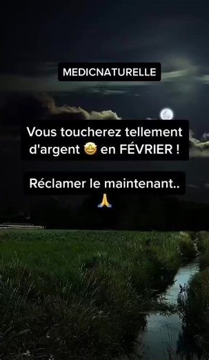 Tranquil Nighttime Stream and Grassy Landscape