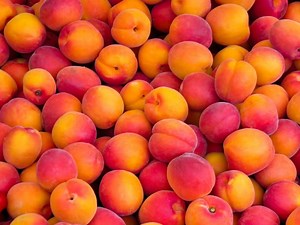 🍑 It’s peach season. Here’s where to pick your own in the Houston area.