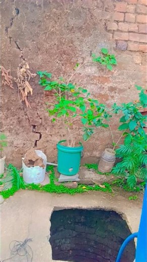 hamare gaon bar CG song music ❤️🙏💕