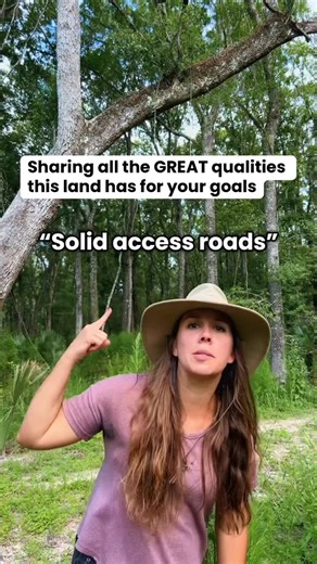 Danielle Atkins | The Homeschooling Forester on Instagram: "I love the pretty trees too… But it’s important to make sure when looking to buy land that it meets all your goals (or most!) Whether you’re looking to buy land to build your future home on, to have your own personal hunting retreat, or a mix of both while growing investment revenue… Working with an agent that KNOWS land will not only be able to show you the pretty trees, but how each of your needs are met 🙃 Looking for your own tract 