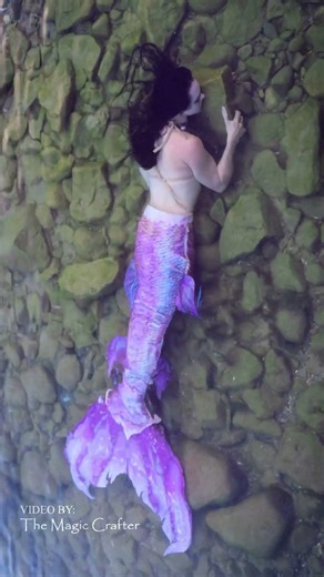 A purple mermaid sleeps peacefully in Lake Michigan 🌙