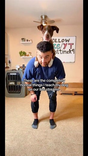 Must train command for dogs 💯