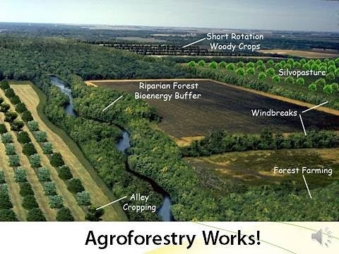 Agroforestry: Ecosystem Services and Wildlife Habitat