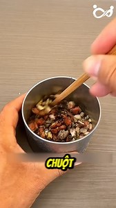 956K views · 2.1K reactions | Công Thức Thần Thánh Đuổi Sạch Chuột Trong Nhà #reels2025 #review #FREE #fpy #trendingreelsvideo #viralreelsfb #reelsfypシ #reelsvideoシ | Kaiserr | Facebook