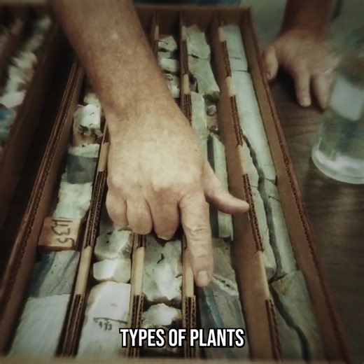 432K views · 13K reactions | Life Beyond Light: The Oxygen Secret! | The Why Files | Facebook