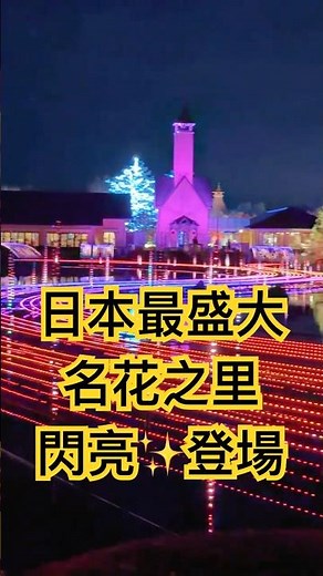 Nagoya 名花之里燈海之三 (なばなの里イルミネーション) 2025-2026 #travel #自駕遊 #名古屋 #名花之里 #聖誕燈飾 #光之隧道#christmas#japantravel