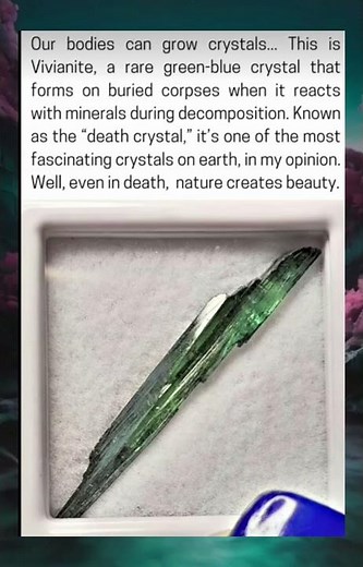 The "Death Crystal": How Human Bodies Can Grow Vivianite Crystals After Death