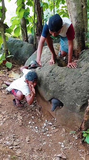 Cute Baby Animals Hatching Compilation 🐥❤️ #viral #shorts #tranding