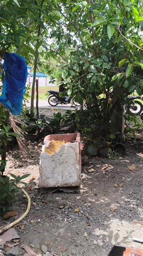 Spearfishing Unit Test Load & Fire